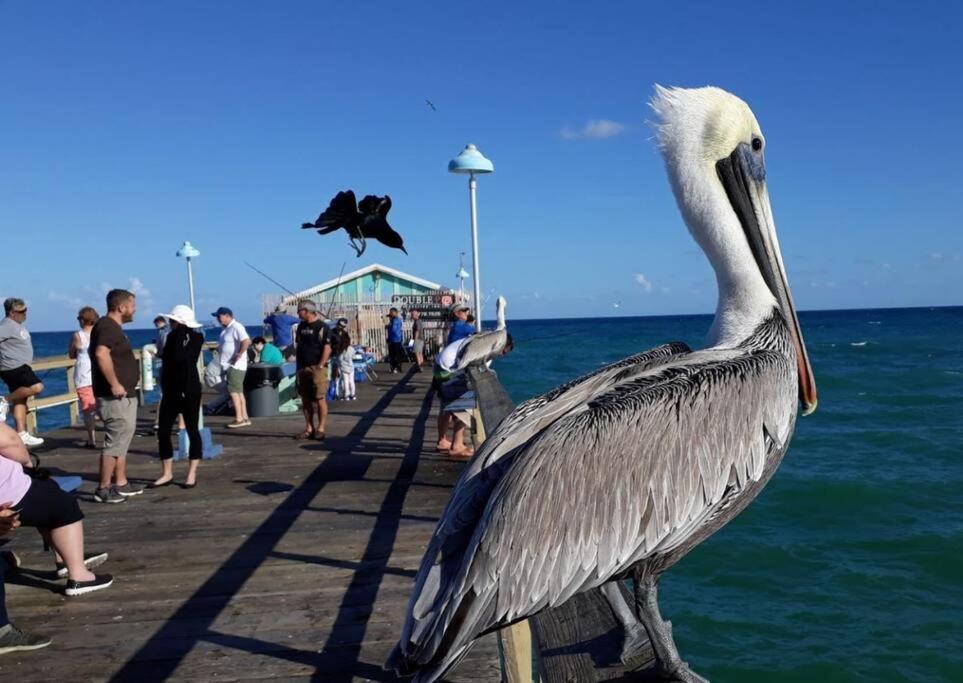 Fort Lauderdale Guest House Екстер'єр фото